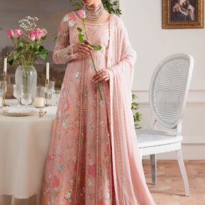 Chronveil – Blush Pink Embroidered Chiffon Ensemble