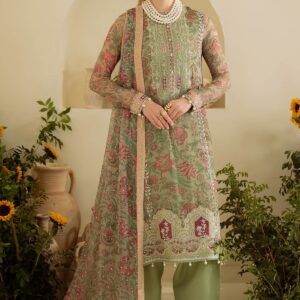 Chronveil – Green Chiffon Embroidered Ensemble