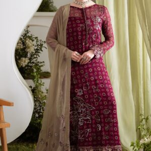 Chronveil – Magenta Chiffon Embroidered Ensemble